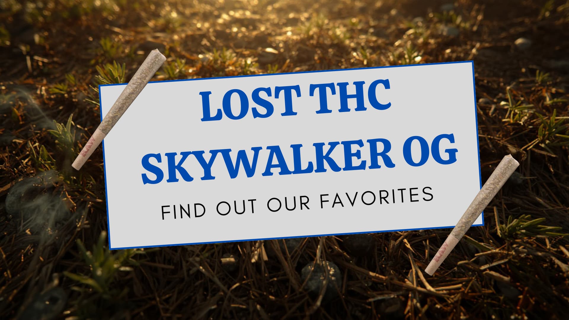 Lost THC Skywalker OG - Lost THC blog article