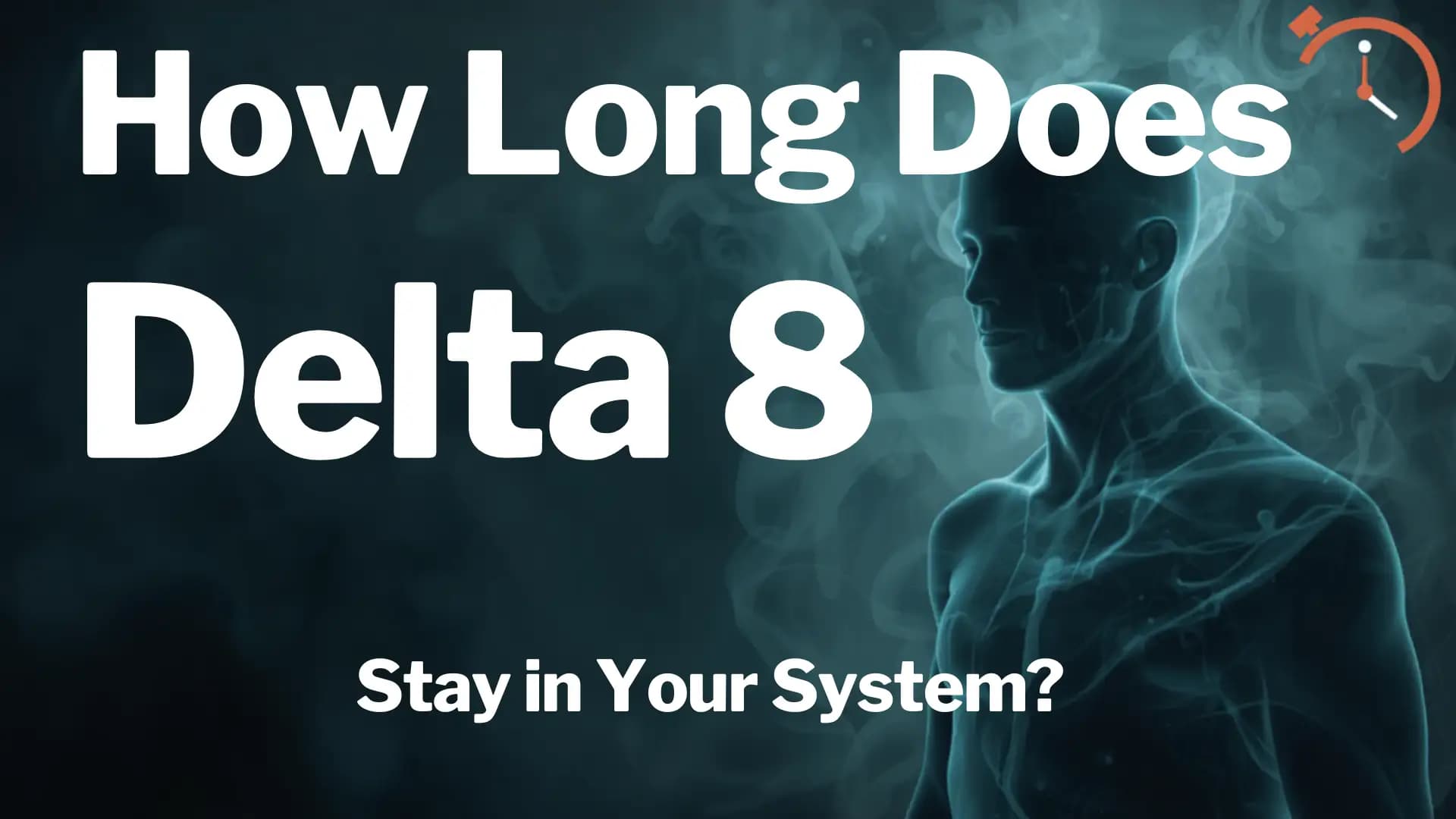How Long Does Delta 8 Stay in Your System? - Lost THC blog article